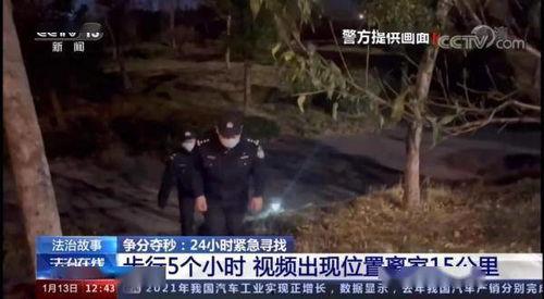 在线观看 聚焦,深度解析网络视频时代的现象与影响