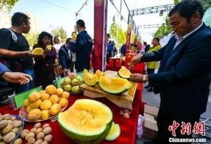 呼市吃瓜事件最新爆料,最新爆料揭秘惊人内幕